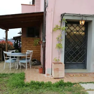 Lisa , Montespertoli Italia